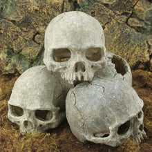 Cargar imagen en el visor de la galería, Worn Skull Statue
