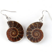 Load image into Gallery viewer, Ammonite Earrings
