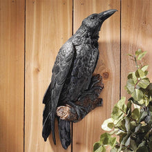 Cargar imagen en el visor de la galería, Black Raven Statue
